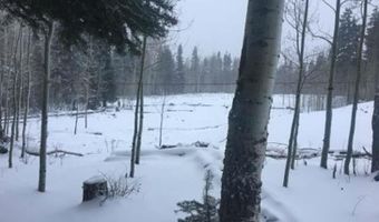 4558 Middle Mountain Rd, Bayfield, CO 81122
