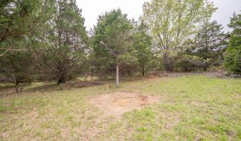 493 County Road 151, Alton, MO 65606