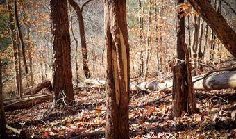 Virginia Ave lot 75, Bassett, VA 24055