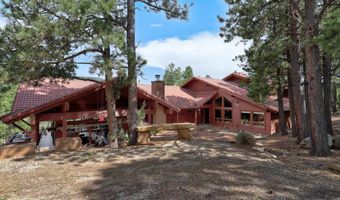 21 Trevino Cir, Angel Fire, NM 87710