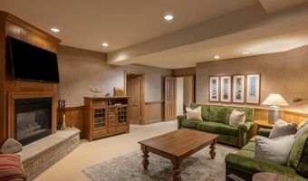 316 W End St, Aspen, CO 81611