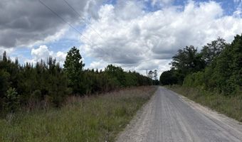 452 Tram Rd, Cades, SC 29518