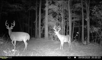 3 Champion Hill Rd, Bolton, MS 39041