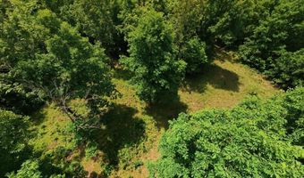 County Road 200, Alton, MO 65606