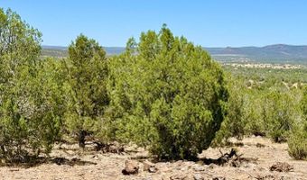 Stagecoach Dr 47 Acres, Ash Fork, AZ 86320