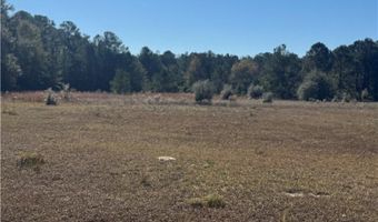 353 Wilder Rd, Allenhurst, GA 31301