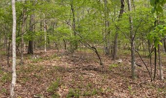 595 Ridgeview Lake Dr, Alabaster, AL 35007