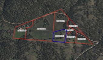 Forest Road 26 lot E, Alpine, AZ 85920