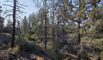 Cathy Way lot 21-23, Beatty, OR 97621