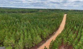 Penny Morris Road, Baxley, GA 31513