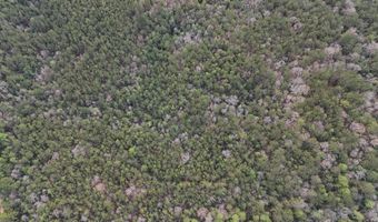 TBD Hwy. 29, Brooklyn, MS 39425