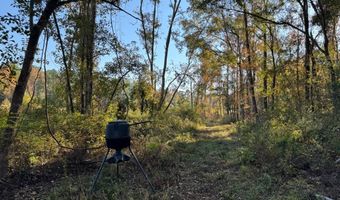 TBD Binnicker Bridge Road, Bamberg, SC 29003