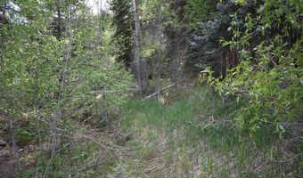 Vallecito Pl, Bayfield, CO 81122