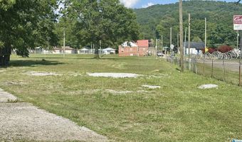 224 S LEIGHTON Ave 1, Anniston, AL 36207
