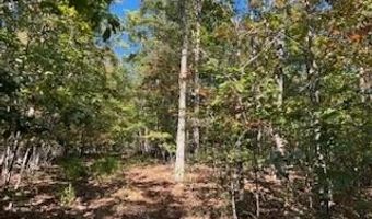 County Road 118, Annapolis, MO 63620