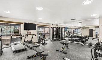 1039 E Cooper Ave 20, Aspen, CO 81611