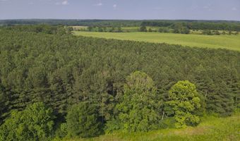 0 County Road 93, Anderson, AL 35610