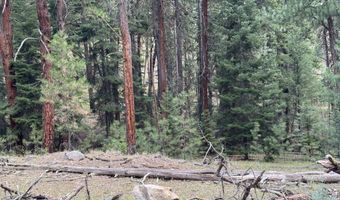 20894 Pioneer Ln, Bridgeport, OR 97818