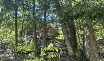5436 Valley Rd, Alanson, MI 49706