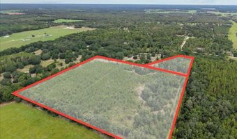 3670 25th Cir, Bell, FL 32619