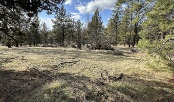 Widgeon Drive lot 3, Bonanza, OR 97623