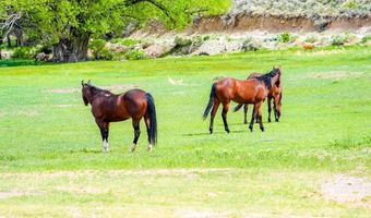 1090 Cherry Creek Rd, Ely, NV 89301