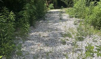 385 CARR Rd, Alpine, AL 35014