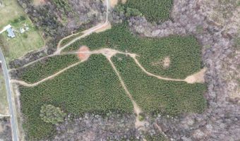 Old Courthouse Road, Appomattox, VA 24522