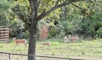 11336 251st St, Beggs, OK 74421