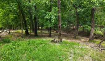 Pheasant Circle Lot 56 Block 2, Afton, OK 74331