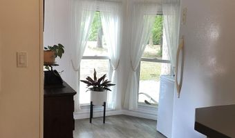 2166 Healing Springs Rd, Blackville, SC 29817