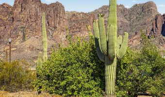 5455 E MINING CAMP St, Apache Junction, AZ 85119