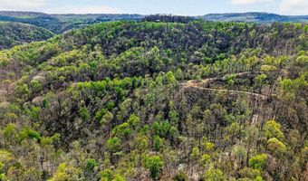 61 AC Hidden Cove Ln, Allons, TN 38541