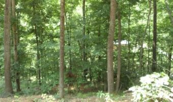 8 63ac Gravely Hill Rd, Bethpage, TN 37022