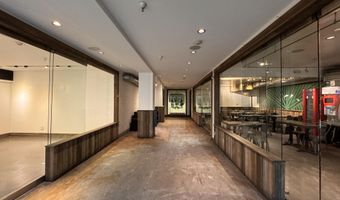 520 E Cooper Ave Ll1 & Ll4, Aspen, CO 81611