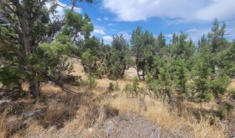 409 S Casa Loma Ln, Cedar City, UT 84720