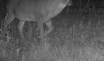 0 HWY 71, Alexandria, LA 71303
