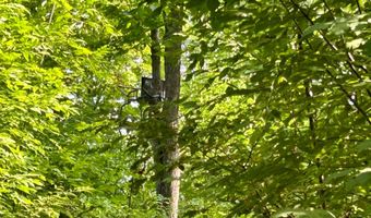 6506 DOUBLE BEND Rd, Argonne, WI 54511