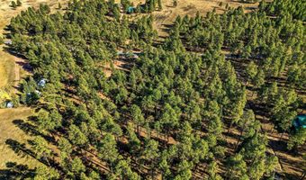 25319 US Hwy 191, Alpine, AZ 85920