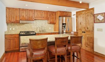 630 E Cooper Ave 1, Aspen, CO 81611