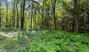Great Hollow Road, Cornwall, CT 06753