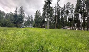 13962 Pine St, Bigfork, MT 59911