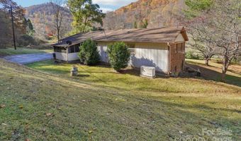 480 Paint Fork Rd, Barnardsville, NC 28709
