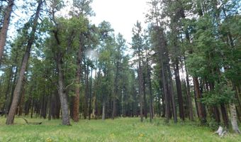 009 A N2266, Alpine, AZ 85920