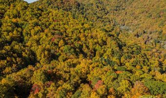 99999 Harwood Rd, Barnardsville, NC 28709