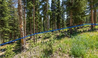 34 Camron Ln Lot 31, Breckenridge, CO 80424