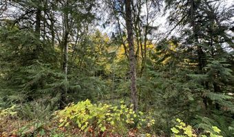 40 XX Sand Dollar Rd W, Bremerton, WA 98312