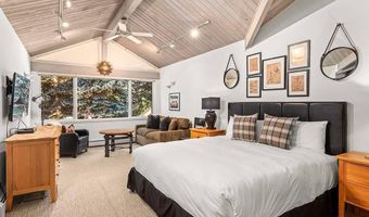 625 S WEST END St 8, Aspen, CO 81611