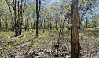 Forest Hill Drive, Blakeslee, PA 18610
