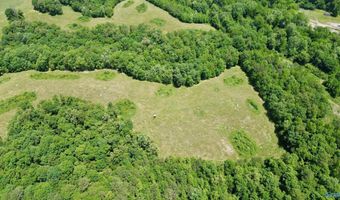 120 Carnes Chapel Rd, Attalla, AL 35954